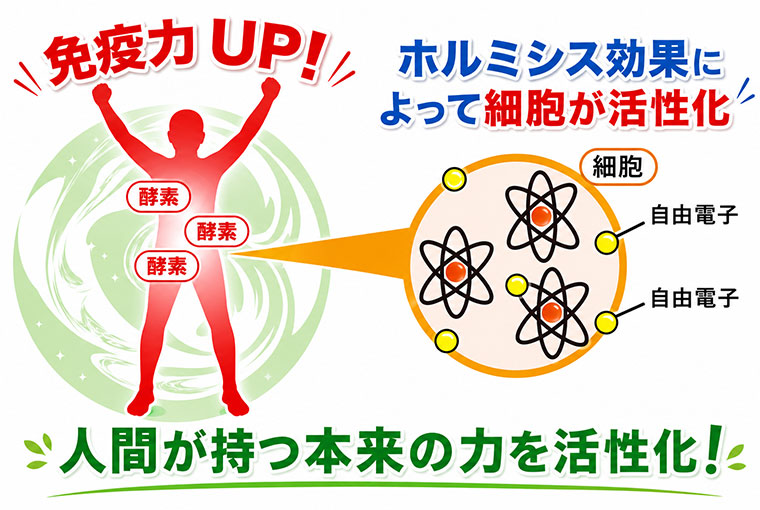 ホルミシス効果によって細胞が活性化するイメージ図