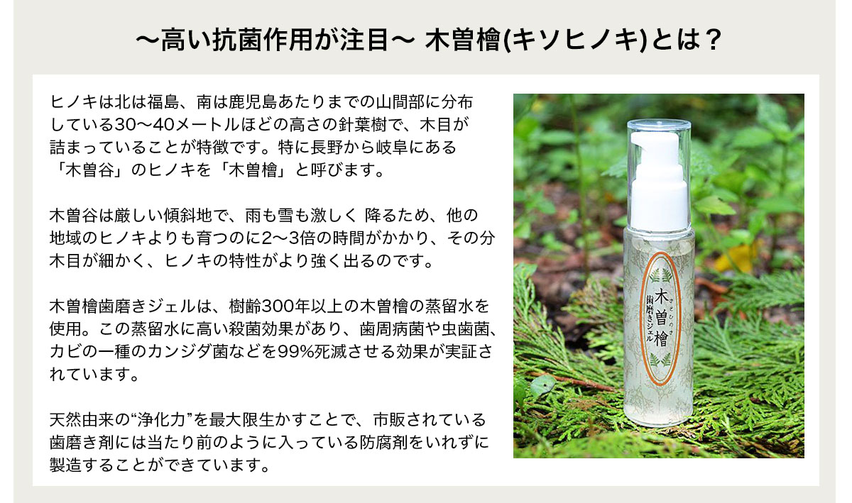 木曽檜歯磨きジェル 97.1%天然由来成分 口内洗浄 虫歯 歯垢 口臭 歯石