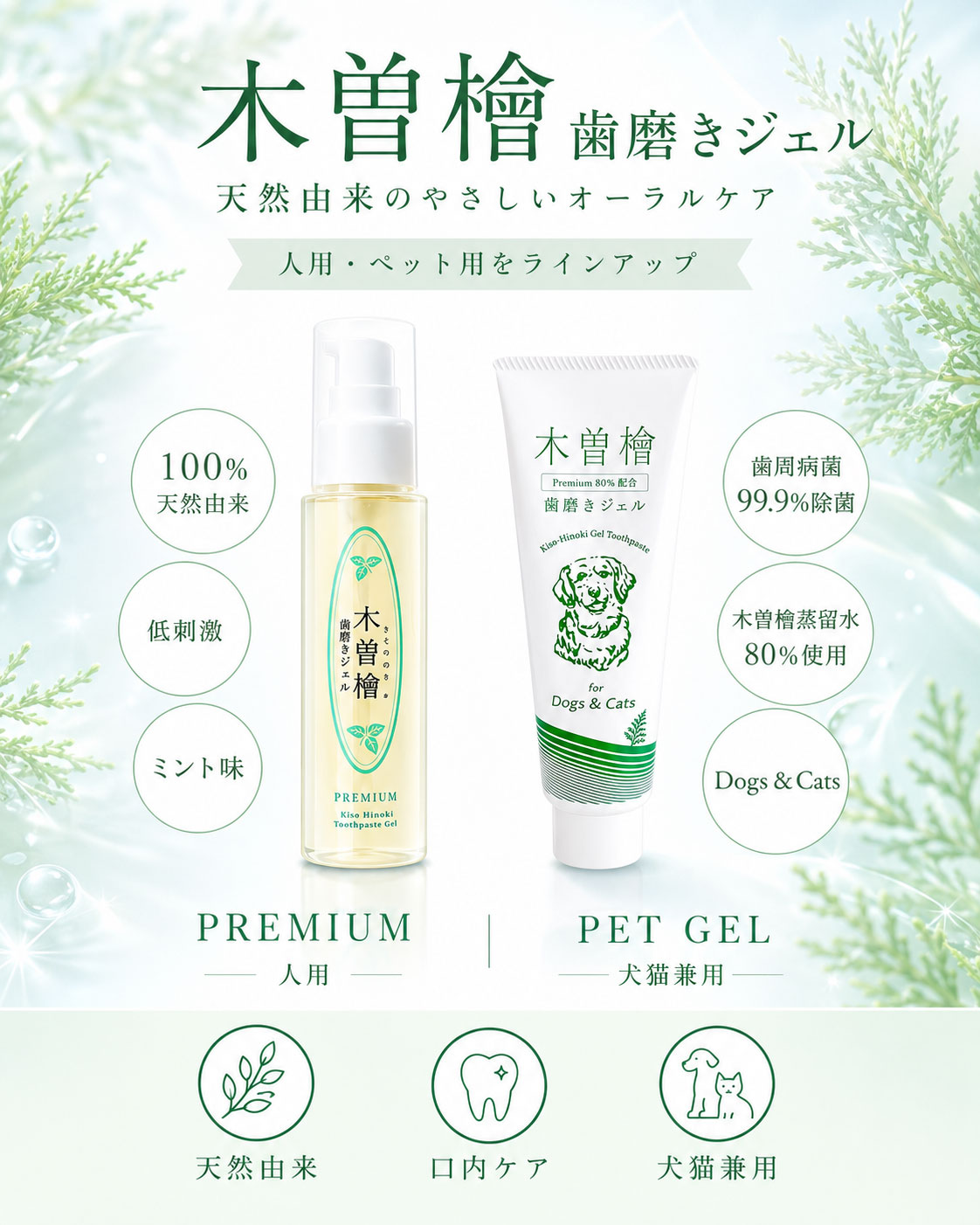 �����ػ��᤭������PREMIUM�����ͽ�ɡ�������ͽ�ɡ�����ͽ��
