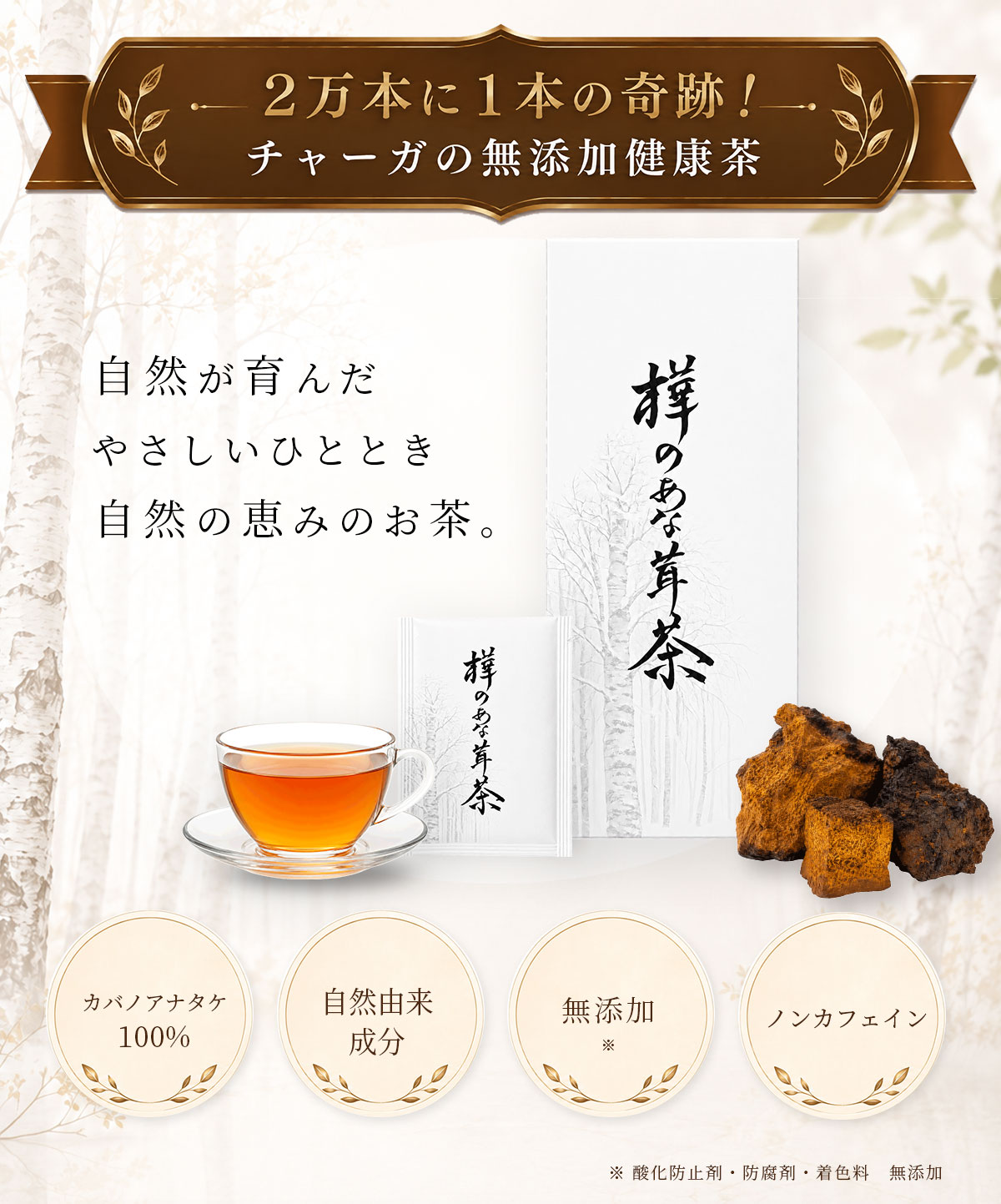 樺のあな茸茶