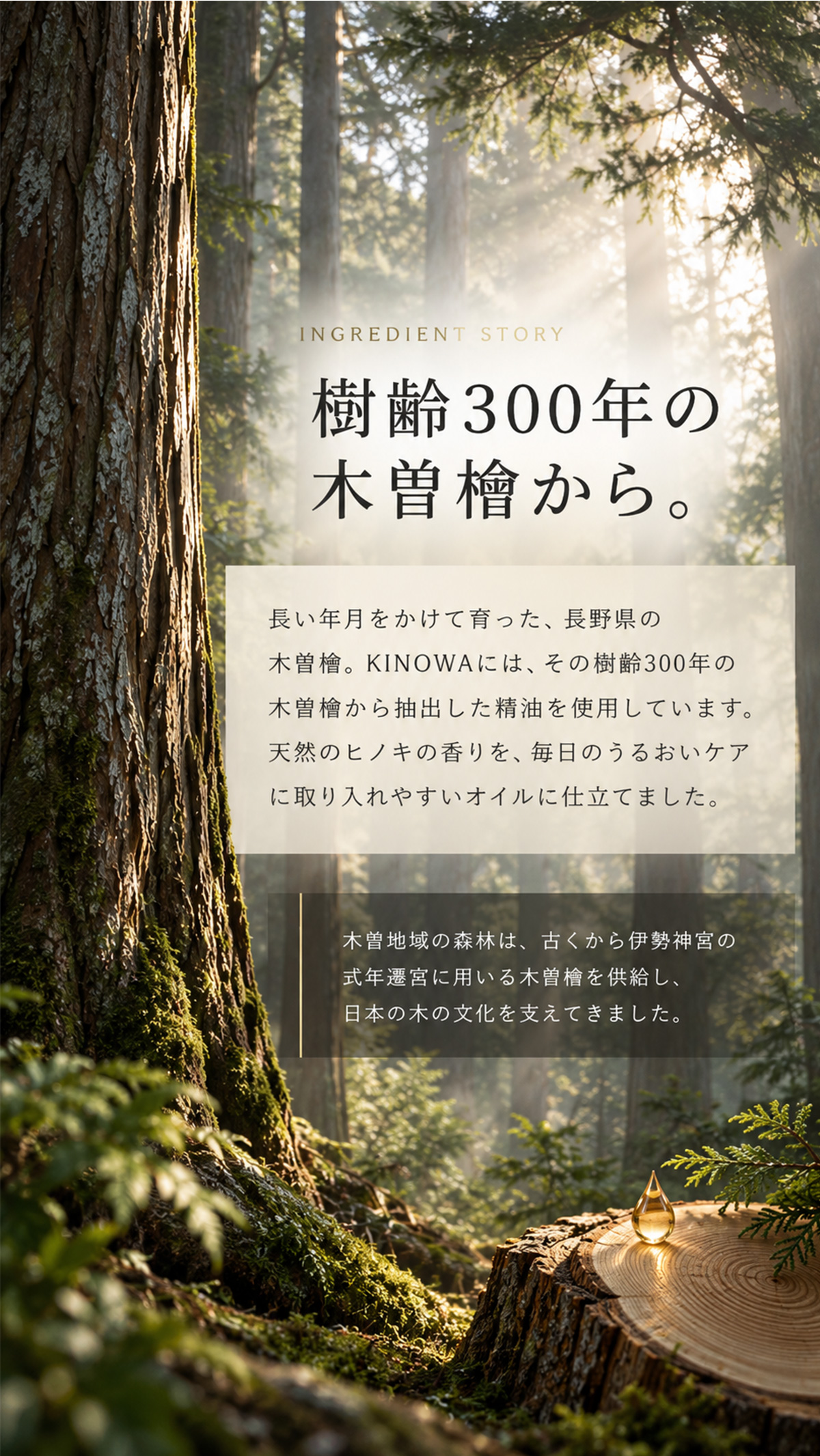 ����300ǯ�������ؤ���
